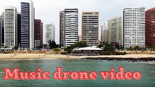 Deep Forest Copyright Free Music drone video pexels
