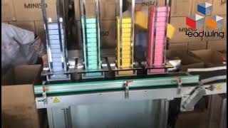 Side Loading Case Packer