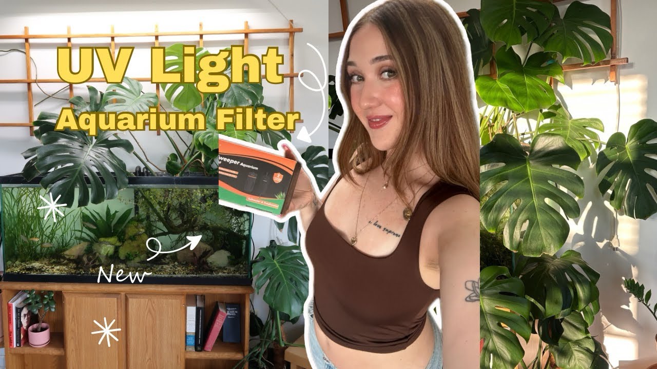 HYGGER AQUARIUM UV LIGHT UNBOXING + BEFORE / AFTER 💡🔆🐠