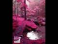 همسات الليل شعر فاروق جويده 