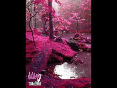 همسات الليل شعر فاروق جويده