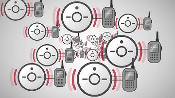 First Alert   Wi Safe