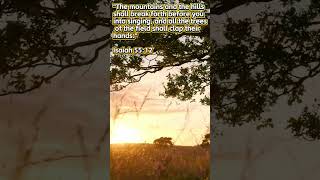 Isaiah 55:12 #bible #bibleverse #god #jesuscristo #peace #love #joy #nature #tree #biblia