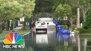 Toxic Invasion In One Of America’s Most Beautiful Beach Destinations | NBC Nightly News