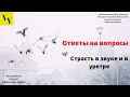 Страсть в звуке и в уретре. ВектораВсем. Проект Вячеслава Юнева