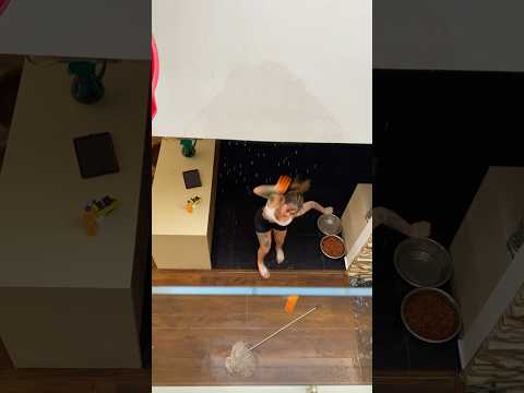 You Missed That One Soycintiacossio