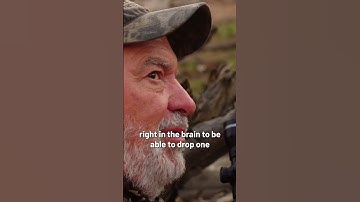 Brain shot on feral hog!!