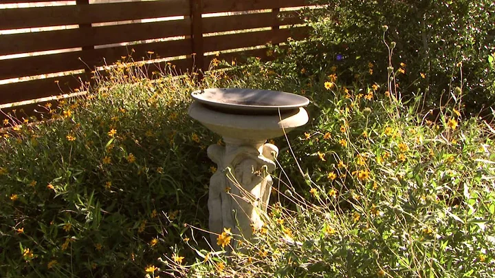 Wildlife, Waterwise Garden on Many Levels |Annie G...