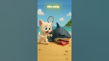 Mèo con giúp cá mập chữa vết thương  #shorts #cat #catai #ai #meow