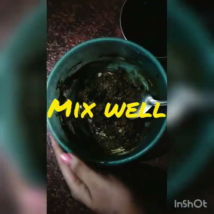 Modicare Product | Henna Powder (Fruit of the earth) 💚