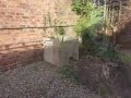 Professional, Reliable and Cost-Effective Rubbish Removal Service in Worcester and Droitwich

We do all of the heavy lifting and loading **cheaper than a skip**

We remove all types of unwanted items from your property or business, we only charge according to the amount of
the rubbish that we take away, and we always provide a no-obligation quote before we start.

✓ House Clearances 
✓ Office Clearances
✓ Furniture Disposal
✓ Loft Clearances
✓ Estate/Letting Agents
✓ Garden Clearances 
✓ Landlords Waste Clearances
✓ Garden Clearances 
✓ Loft Clearances
✓ Shop Clearances
✓ Builders Waste Clearances
✓ Kitchen Fitters Waste Clearances

***FULLY LICENSED WASTE CARRIER ***

Please see more @ https://www.junk-monkeys.co.uk/