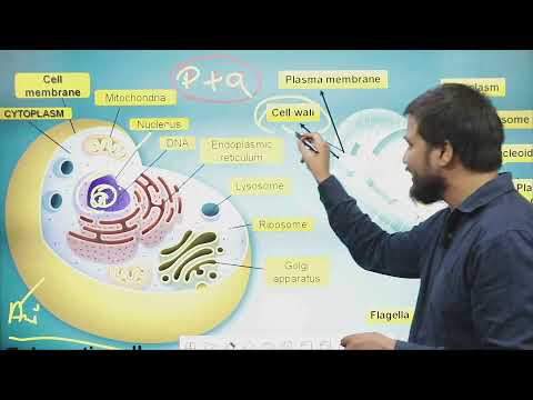 Ashoka Institute || B.Sc (Bio)- 2nd year || Cell biology