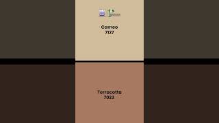 Brighto Paints All Weather