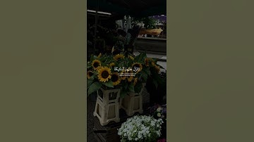 سورة فصلت آية ٣٠ 🌻| إِنَّ الَّذِينَ قَالُوا رَبُّنَا اللَّهُ ثُمَّ اسْتَقَامُوا