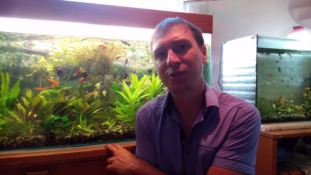 Выбор и установка аквариума, запуск. - YouTube
