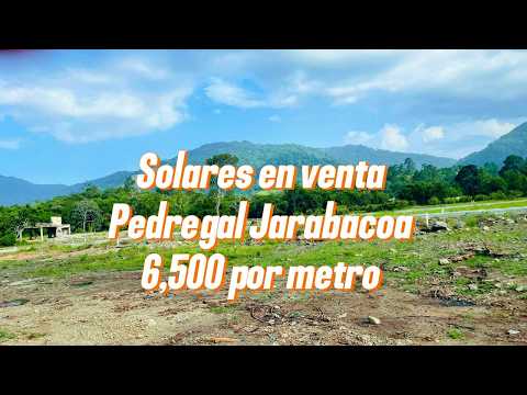 Los mejores solares en venta Jarabacoa ,RD$ 6,500 por metro, quédate con uno, 809 870 8869