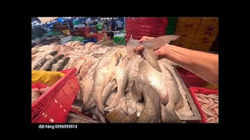 Giá tôm cá tại chợ Bình Điền đang rất rẽ.17/11