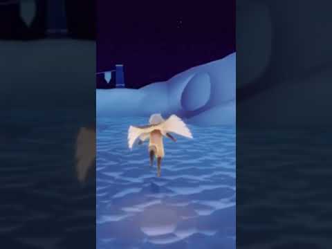 Untitled video