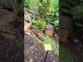 Check out this G-Scale setup!#gscale #modeltrains #modelrailway #fun #train