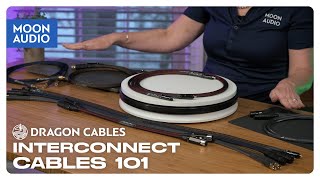 Dragon Interconnect Cables 101 | Moon Audio