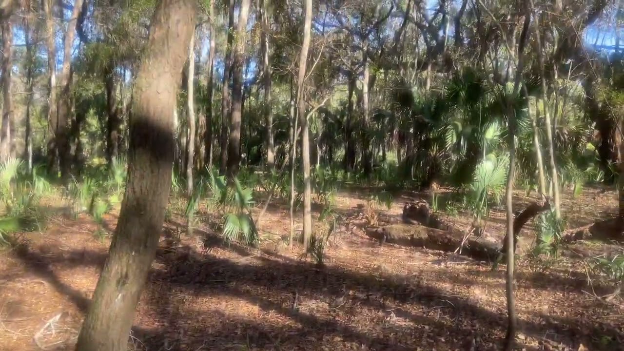 10574 N Dawnflower Pt