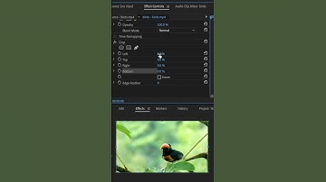 How to Crop video | Premiere Pro tutorial