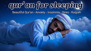 Best Every Night Quran Recitation  By Sheikh Alaa Aqel