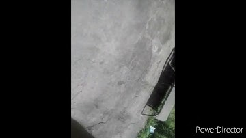 Crash the anti-virus program in my mental computer