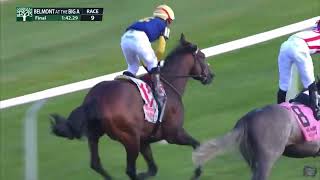 ENLIGHTEN 9/12/25 - Belmont at Aqueduct Race 12 - "Never Give Up"