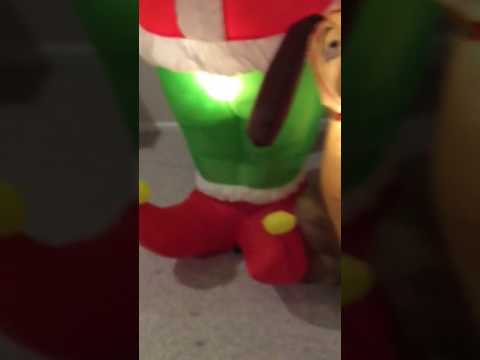 camera iphone 8 plus apk 2004 grintch with max inflatable