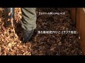 踏み込み温床式で落ち葉堆肥の仕込みとイチジクの剪定