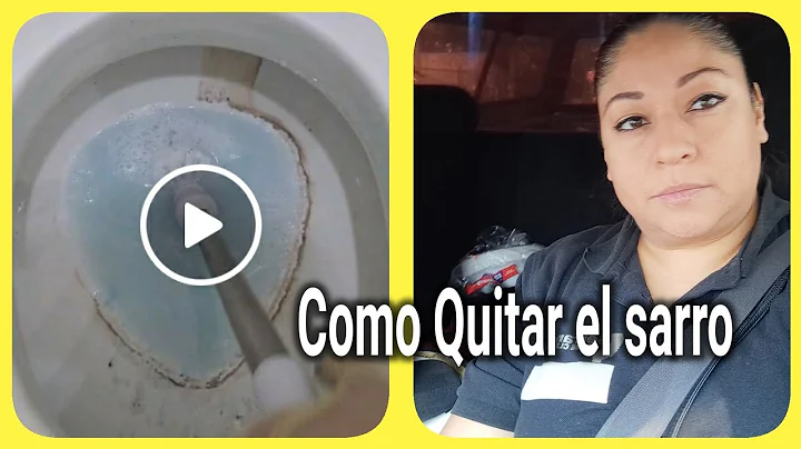 Como Remover el anillo de sarro del inodoro o taza...