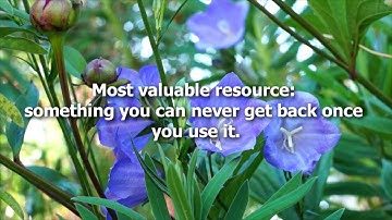 The MOST valuable resource in the world!
