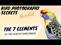 The 7 Elements of the Perfect Bird Image - Bird Photography Secrets Revealed - Jan Wegener Vlog