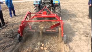 Sweet potato harvester