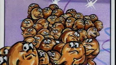 C005 Particles - solid liquid gas