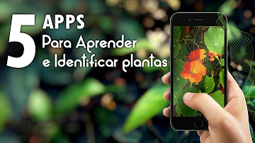 ¿Cómo cuidar una planta app?
