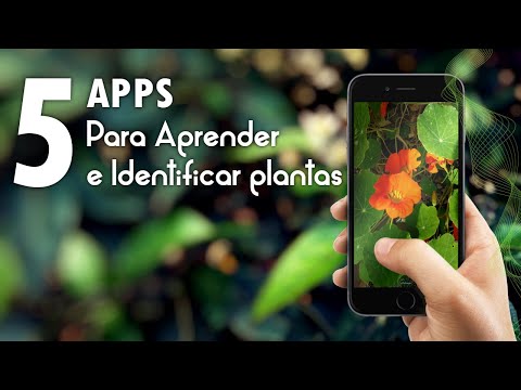 Video: Las Mejores Aplicaciones Para Identificar Plantas Y Bichos Desconocidos