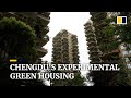 China’s ‘vertical forest’ residential complex offers urban green living