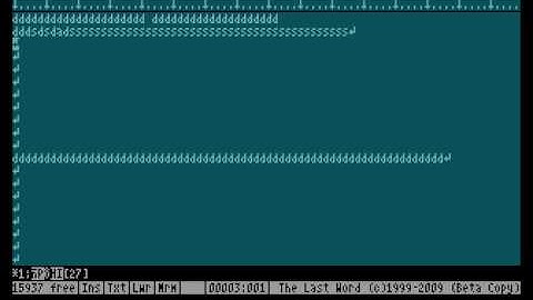 The Last Word with virtual memory interface