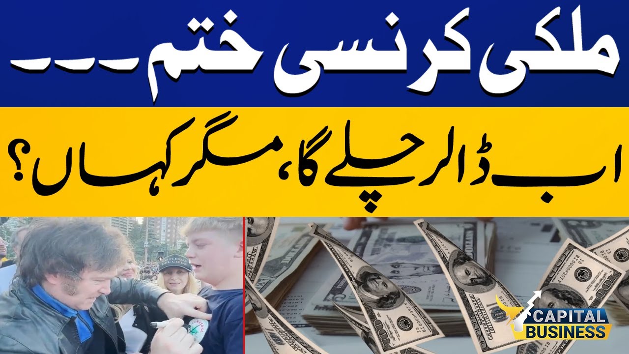 Javier Milei thinks US dollar can rescue Argentina's screwed economy | Capital Business