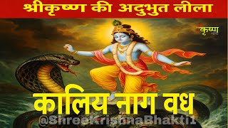 कलय नग वध शरकषण क अदभत लल Kaliya Naag Leela Hindi
