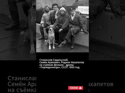 Торпедоносцы. #shorts #shortvideo #советскиеактеры