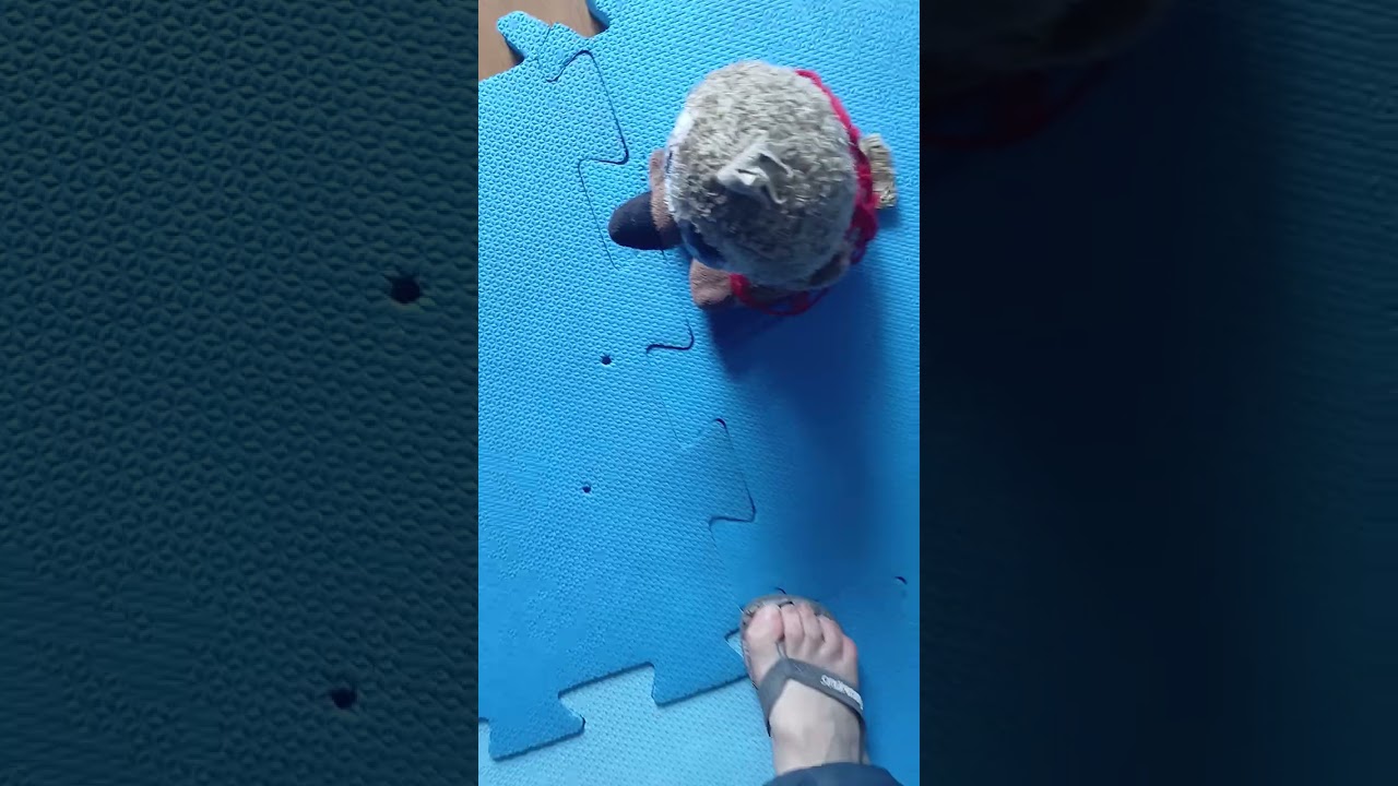 Luta 11 :o final é...