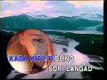 Jelita-Jahamin akul