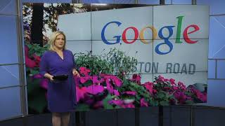 Google axes 12,000 jobs, layoffs spread across tech sector