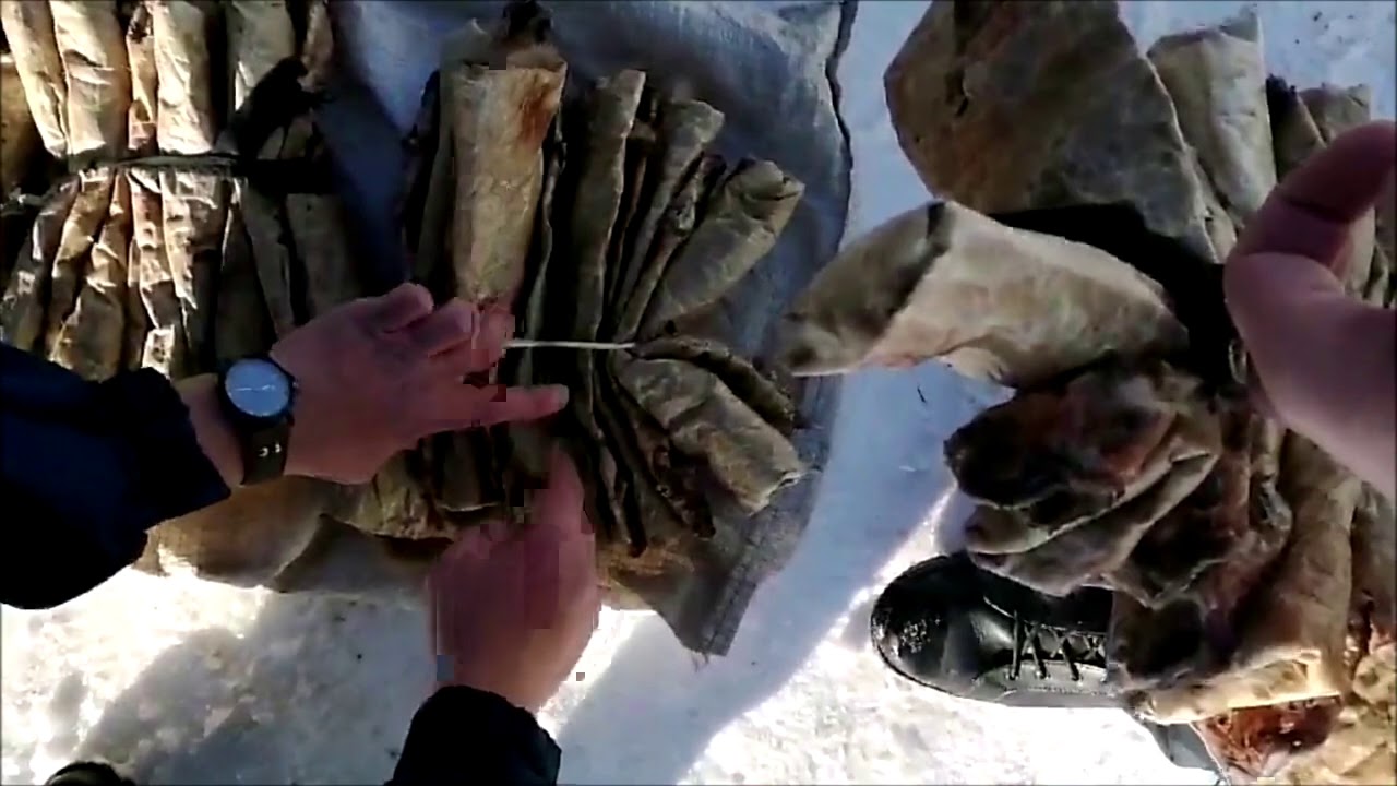 Магазин Браконьеров Нет Красноярск Каталог Товаров