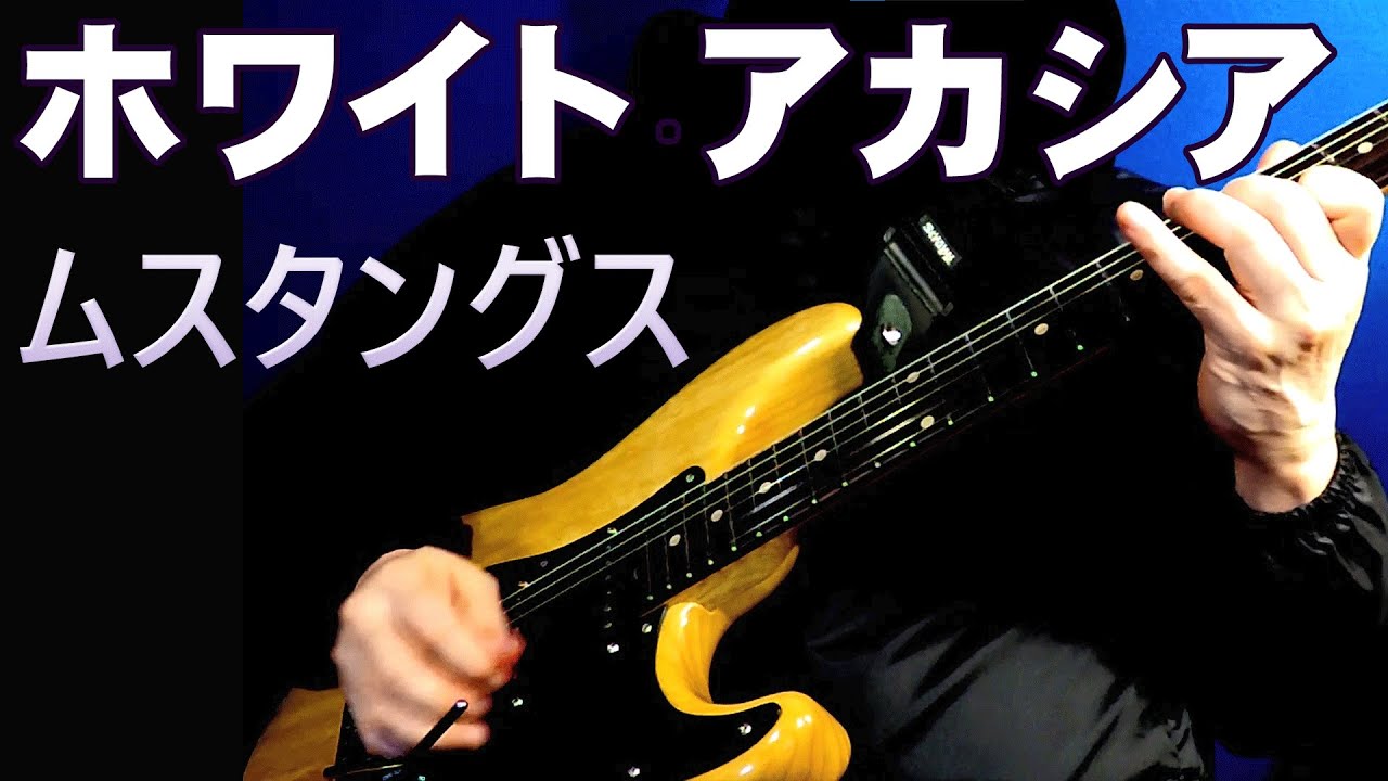 ホワイト・アカシア】ムスタングス [White Acacias] The Mustangs 