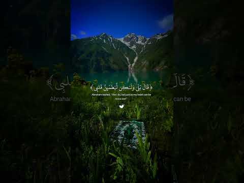 اكتب شيء تؤجر عليه Mohamed Aly Soliman 