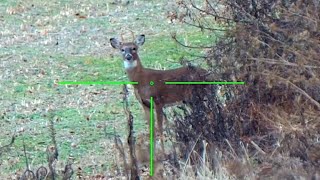 6 Year Old Girl Drops Buck With Suppressed AR | 300 HAM&#39;R | #hunting #shorts